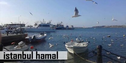 silivri-hamal
